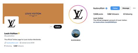 louis vuitton social media platforms|louis vuitton target customer.